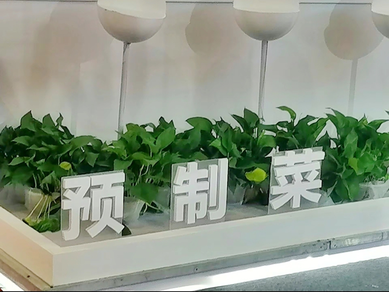 中央一号文件初次点名预造菜