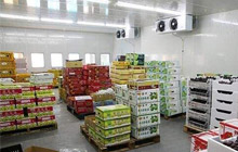 食品仓库 食品仓库